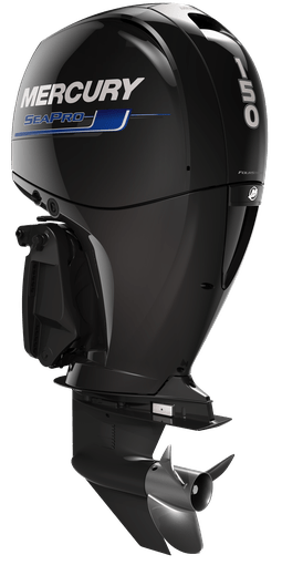 Mercury 150 EFI